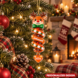 Personalized Spiral Shape Acrylic Christmas Ornament -Gift for Kids,Family